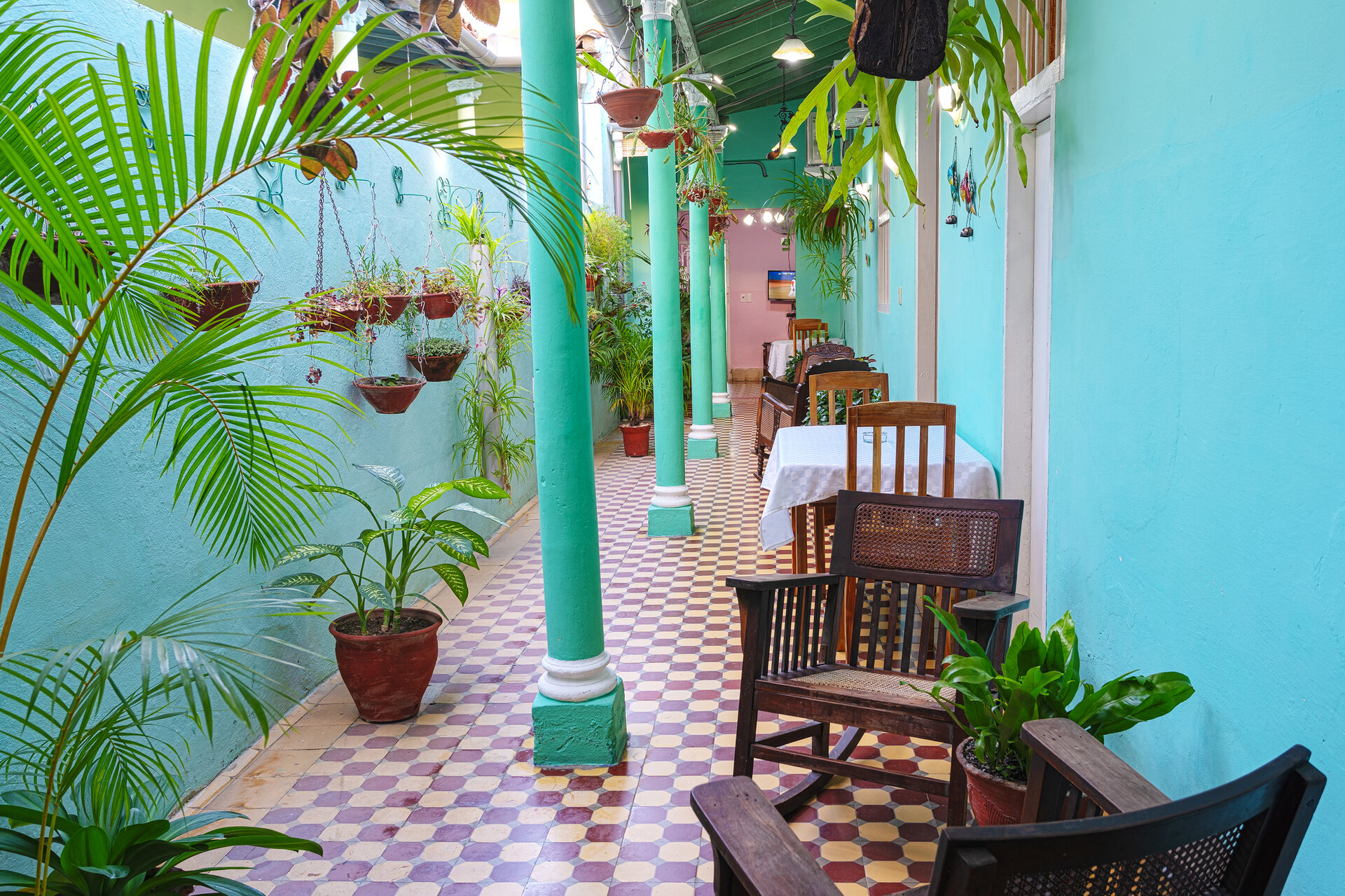 Corredor del hostal con paredes turquesa, columnas verdes, piso ajedrezado y plantas colgantes