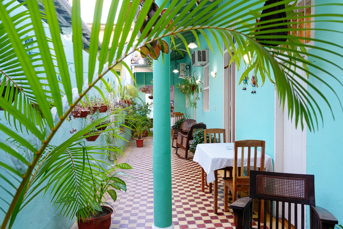 Pasillo interior del hostal con sillas de madera y plantas